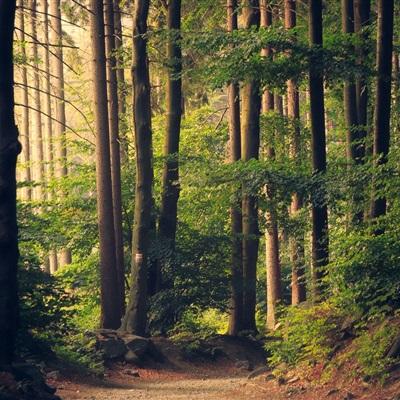 光线传媒：与猫眼娱乐签署IP衍生业务合作框架协议