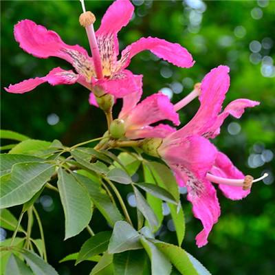 中证A500ETF天弘（159360）跌1.42%，成交额4031.67万元