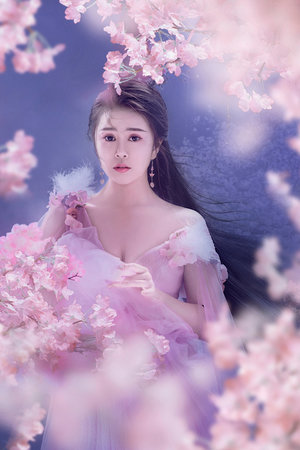 斐雪派克与加拿大头部旅居车品牌达成合作